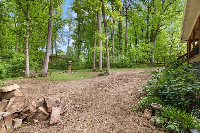 1305 Sherwood Drive, Johnson City, TN 37601