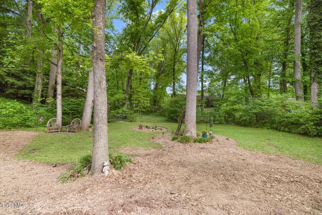 1305 Sherwood Drive, Johnson City, TN 37601