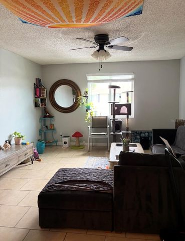 245 RED MAPLE PLACE, Brandon, FL 33510