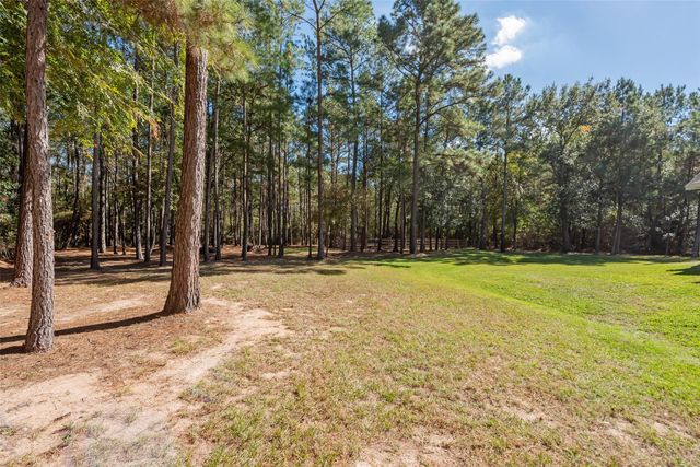 29300 Sorrel Lane, Waller, TX 77484