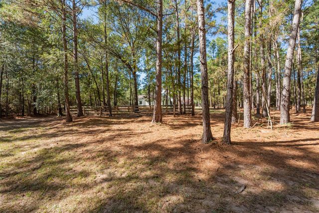 29300 Sorrel Lane, Waller, TX 77484