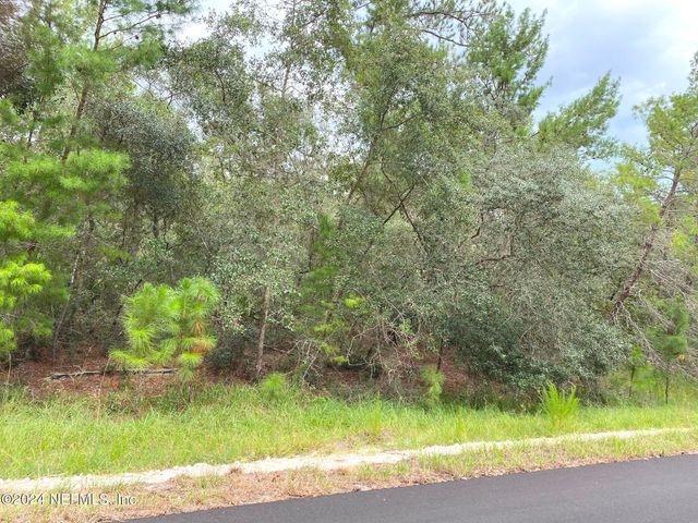 118 SPANISH Trail, Georgetown, FL 32139
