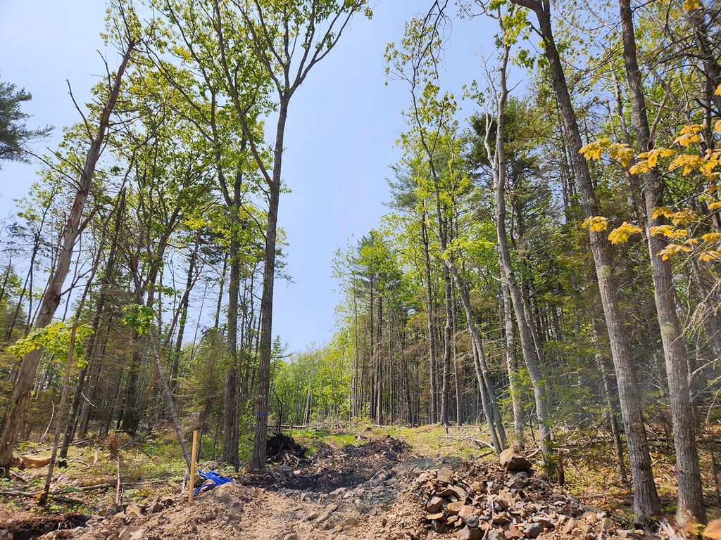 Lot 2 Woodland Drive, Kennebunkport, ME 04046 — photo 2