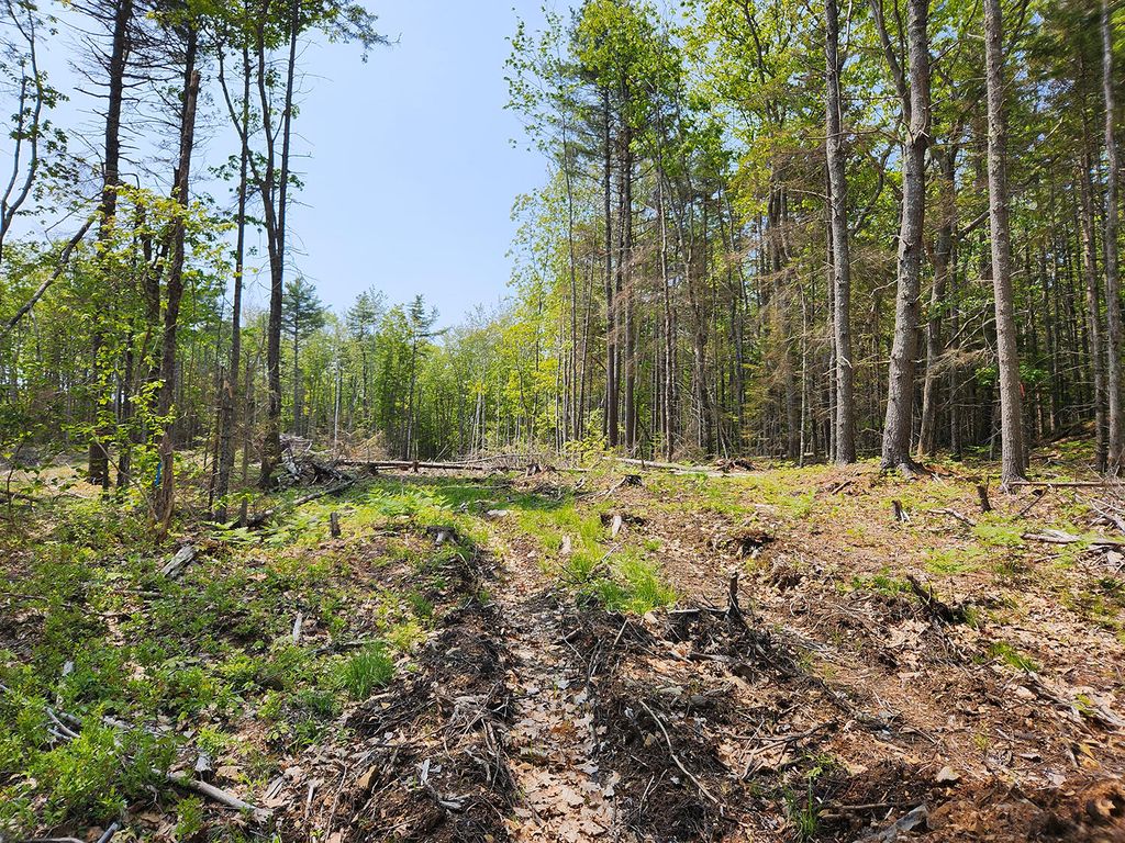Lot 2 Woodland Drive, Kennebunkport, ME 04046 — photo 3