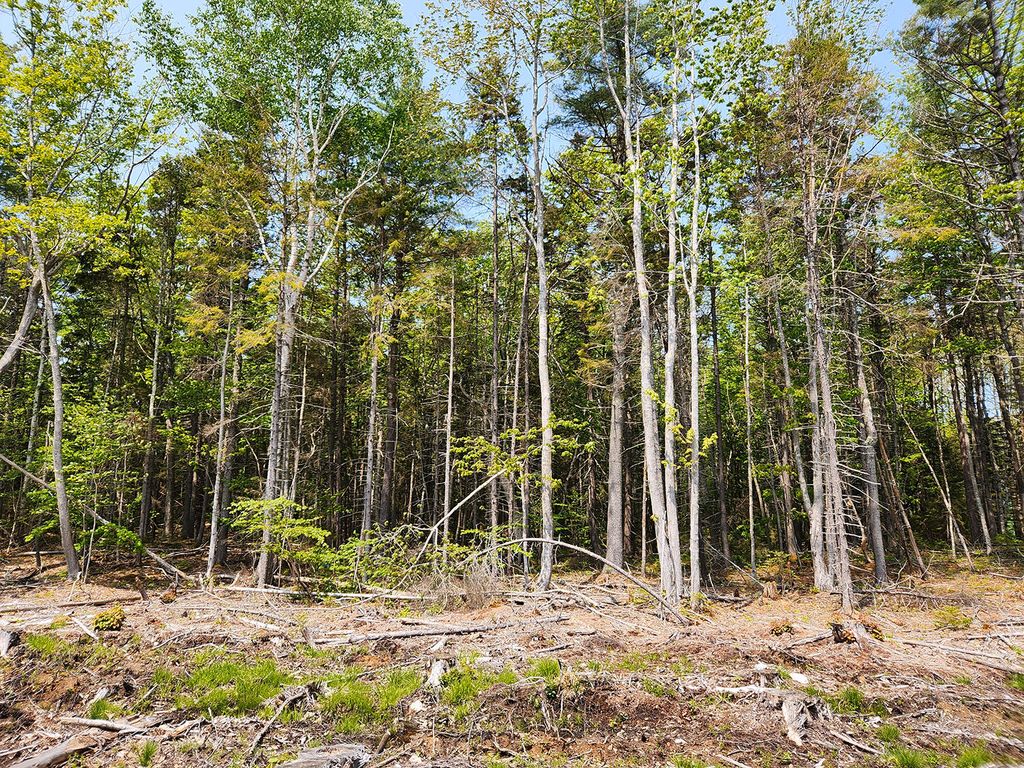 Lot 2 Woodland Drive, Kennebunkport, ME 04046 — photo 4