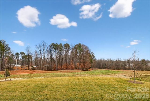 14008 Roosevelt Grove Drive, Huntersville, NC 28078