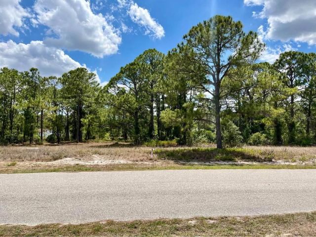 668 LAKE TINA DRIVE, Lake Placid, FL 33852