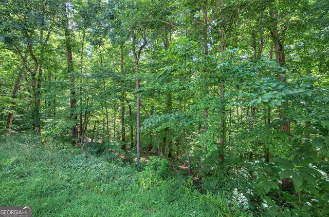 302 Waterfall Court, Canton, GA 30115