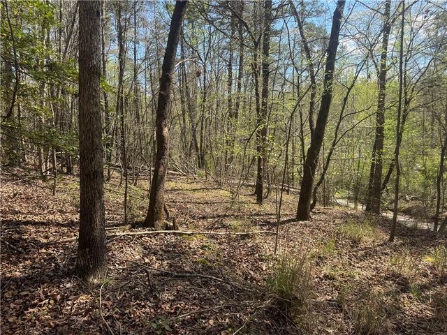 0 Lewis Grindle Road, Dahlonega, GA 30533