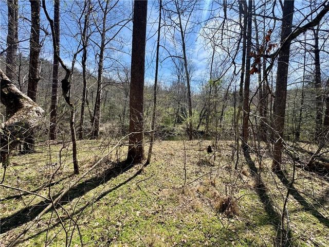 0 Lewis Grindle Road, Dahlonega, GA 30533