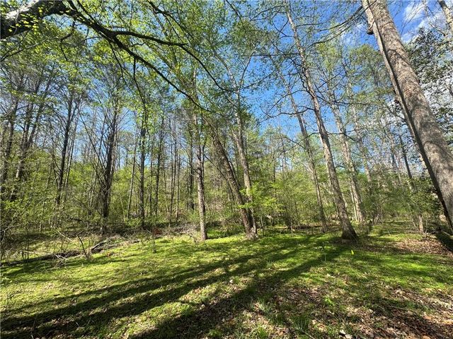0 Lewis Grindle Road, Dahlonega, GA 30533