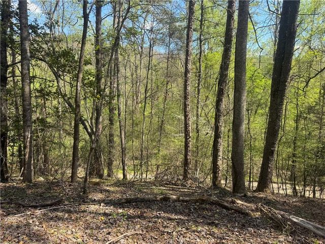0 Lewis Grindle Road, Dahlonega, GA 30533
