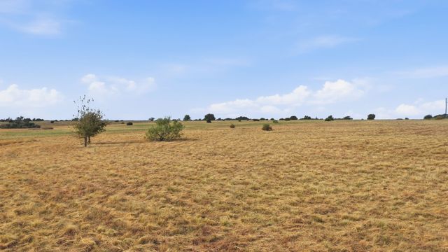 1151 Sweet Springs Road, Weatherford, TX 76088