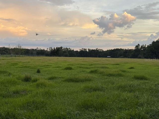 27900 BAYHEAD ROAD, Dade City, FL 33523