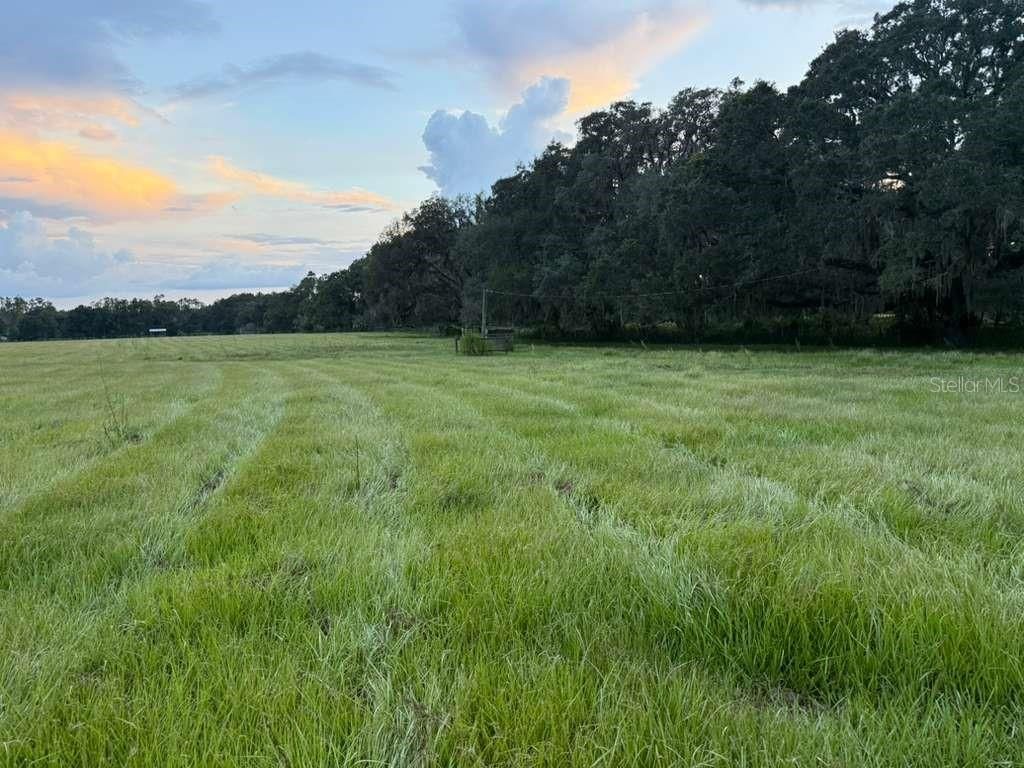 27900 BAYHEAD ROAD, Dade City, FL 33523