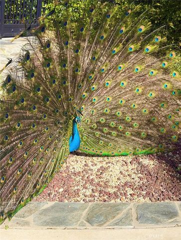 2305 Waring, Agoura Hills, CA 91301