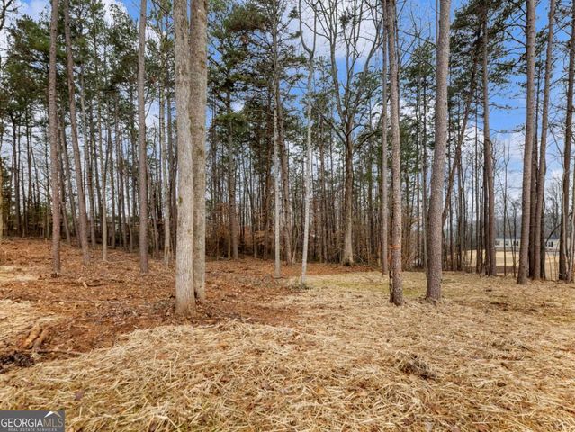 5230 Bogus Road, Gainesville, GA 30506