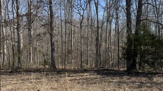 0 Hwy 48 N, Centerville, TN 37033