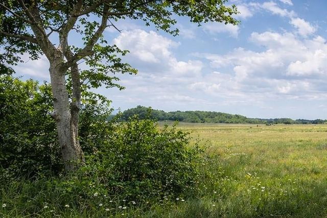 10318 County Road 67, Manvel, TX 77578