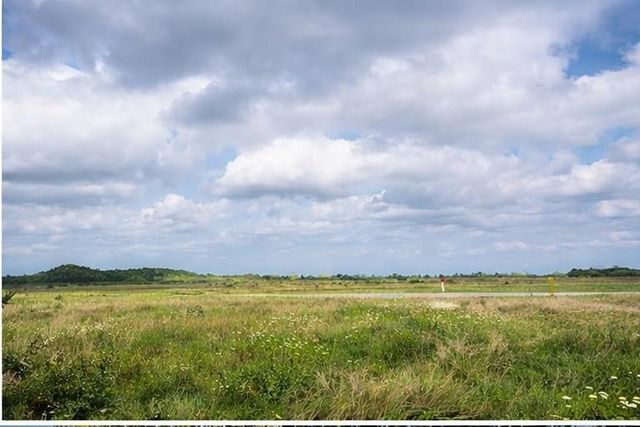 10318 County Road 67, Manvel, TX 77578