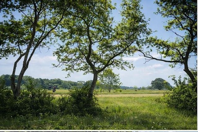 10318 County Road 67, Manvel, TX 77578