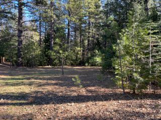 Emigrant Trail, Shingletown, CA 96088