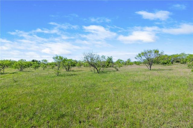 TBD CR 236, Liberty Hill, TX 78605