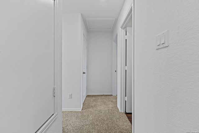 14706 Candelabra Cactus, San Antonio, TX 78221