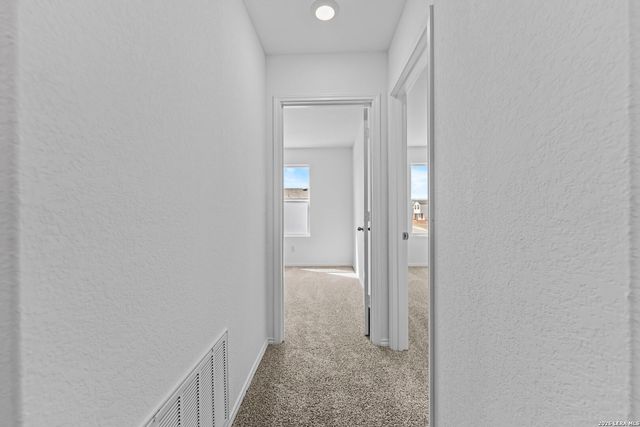 14706 Candelabra Cactus, San Antonio, TX 78221