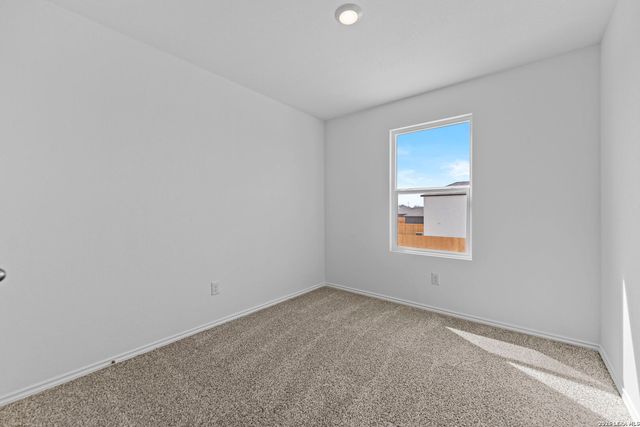 14706 Candelabra Cactus, San Antonio, TX 78221