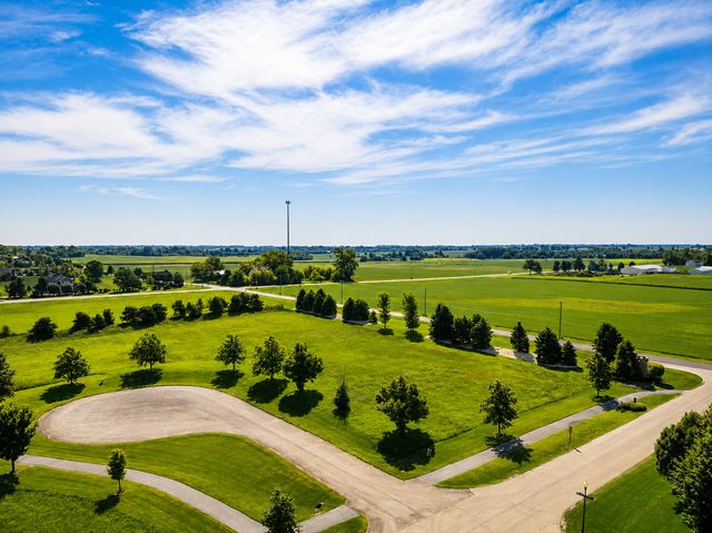 9650 W QUEENS Court, Monee, IL 60449