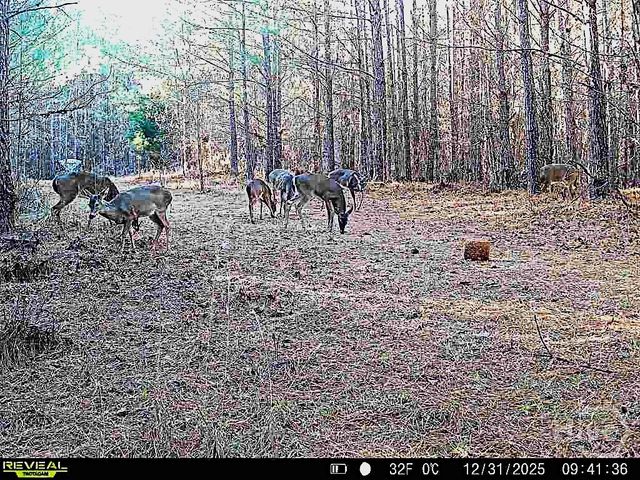 1208 Elberton Road, Lexington, GA 30648