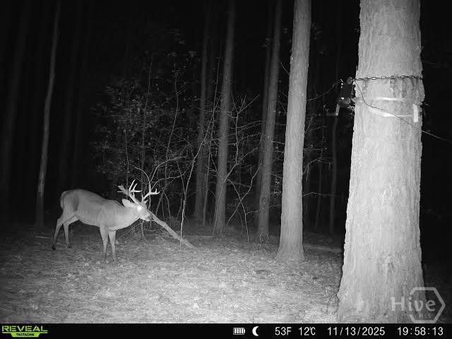 1208 Elberton Road, Lexington, GA 30648