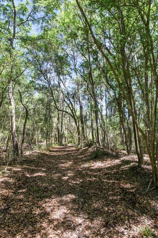 6180 Josie Ridge Road, Wadmalaw Island, SC 29487