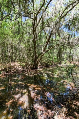 6180 Josie Ridge Road, Wadmalaw Island, SC 29487