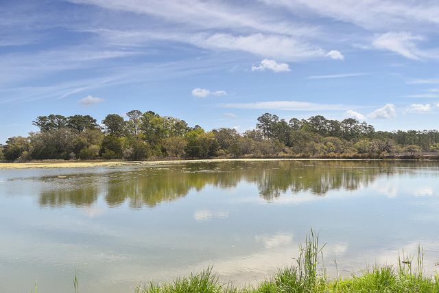 6180 Josie Ridge Road, Wadmalaw Island, SC 29487