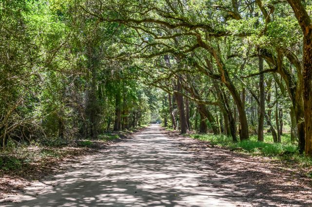 6180 Josie Ridge Road, Wadmalaw Island, SC 29487