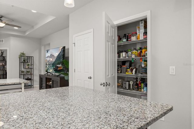 17325 BRACKEN FERN LANE, Clermont, FL 34714