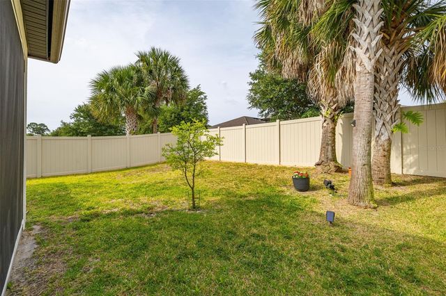 17325 BRACKEN FERN LANE, Clermont, FL 34714