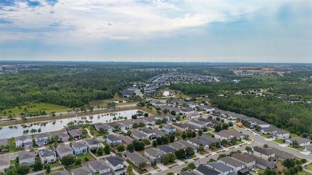 17325 BRACKEN FERN LANE, Clermont, FL 34714