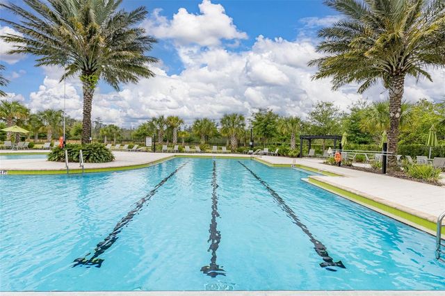 17325 BRACKEN FERN LANE, Clermont, FL 34714