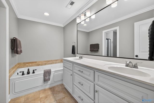 24 Mountain Cove Drive, Trinity, AL 35673