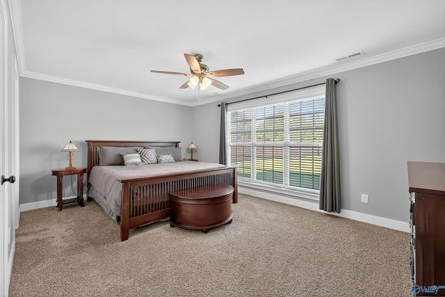 24 Mountain Cove Drive, Trinity, AL 35673