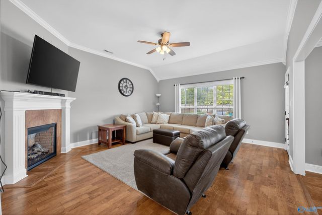 24 Mountain Cove Drive, Trinity, AL 35673