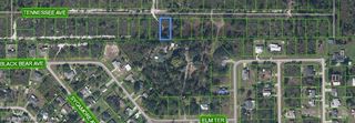 579 Tennessee Avenue, Lake Placid, FL 33852