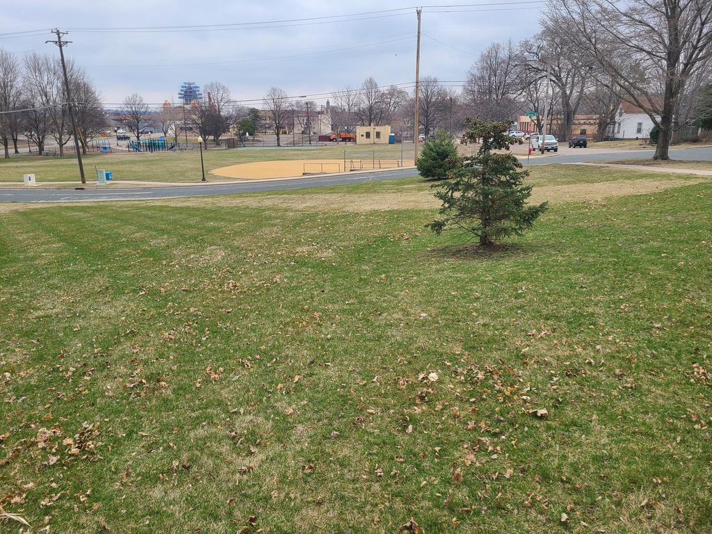 306 5th Street W, Hastings, MN 55033 — photo 3