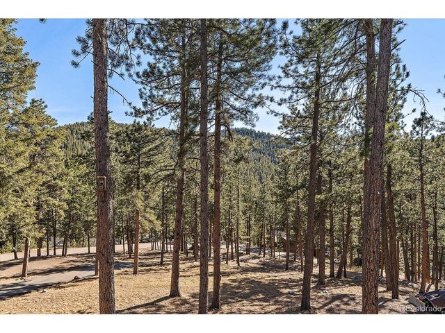 31634 Ponderosa Way, Evergreen, CO 80439