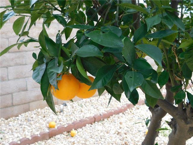 5700 W WILSON Street 1, Banning, CA 92220