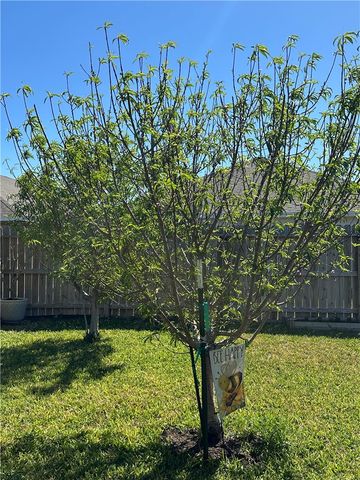 1813 Secretariat Dr, Corpus Christi, TX 78417