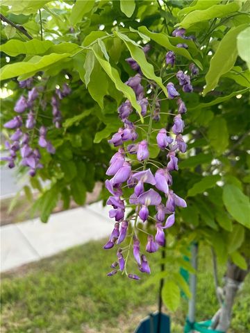 1813 Secretariat Dr, Corpus Christi, TX 78417